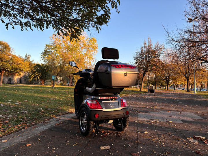 VM4 NEO ТРИЦИКЛ
