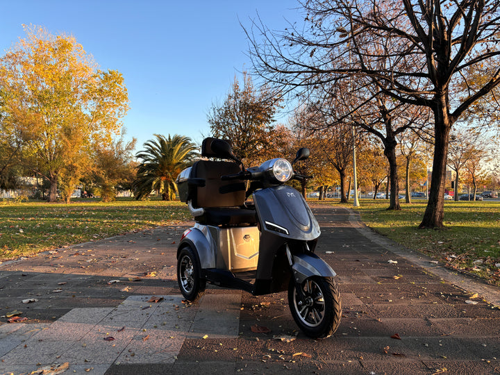 VM4 NEO ТРИЦИКЛ