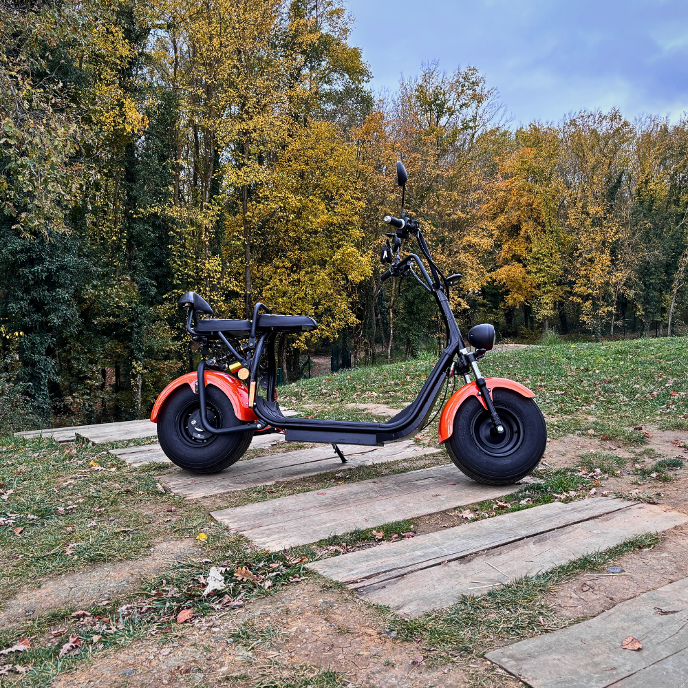 SE03 - MAX
